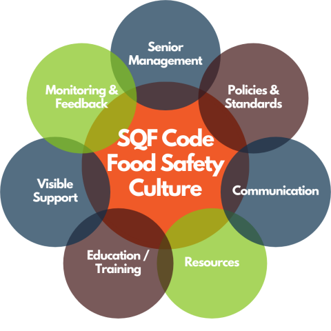 Food Safety Culture: The Lynchpin to Food Safety-Hygiene Program Success